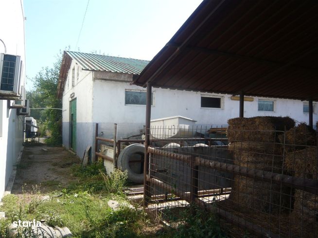 Fabrica de lapte+teren 4990 mp/mun. Slobozia / licitatie 22 si 29 iul-17