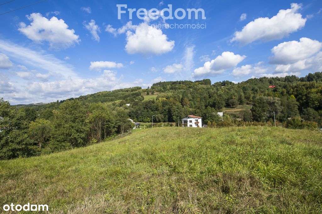 Działka budowlana z widokiem | 41 ar w Cieszynie-9