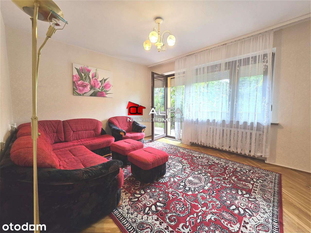 Przestronny dom wolnostojący w okolicach Centrum-1