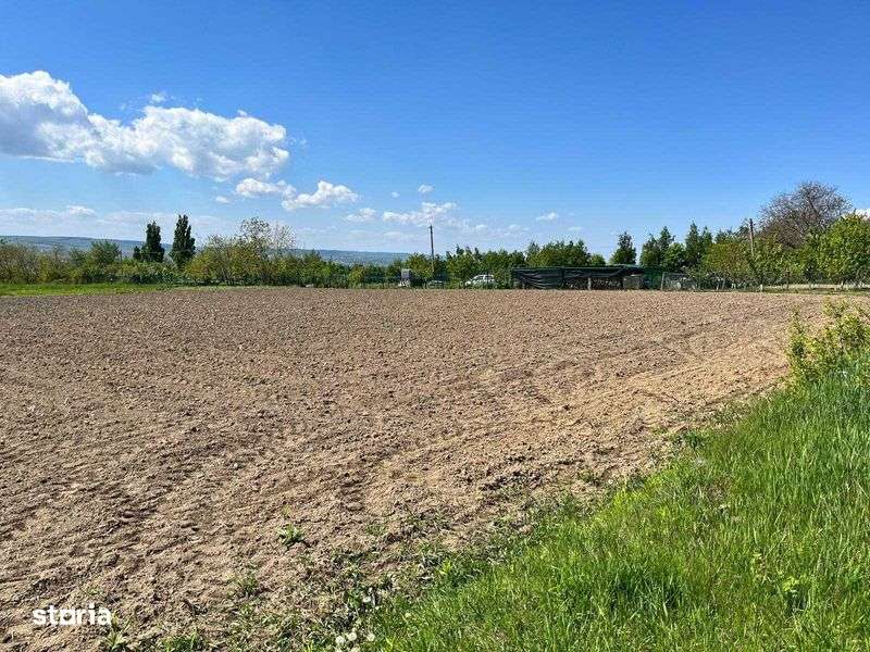 Vand teren intravilan 3300 mp zona Ionaseni - Imagine principală: 4/5