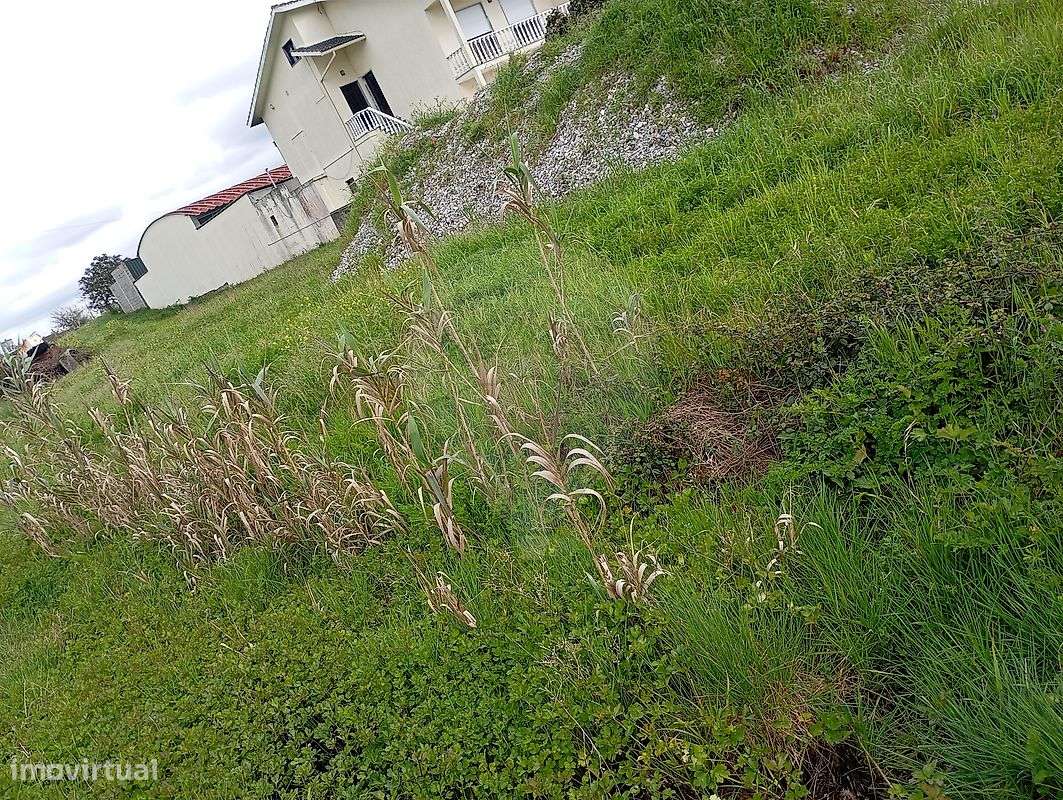 Terreno  para venda - Grande imagem: 3/3