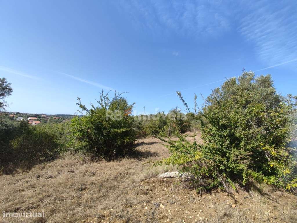 Terreno rústico com 4960m² - Sabrosa, Tomar - Grande imagem: 5/20
