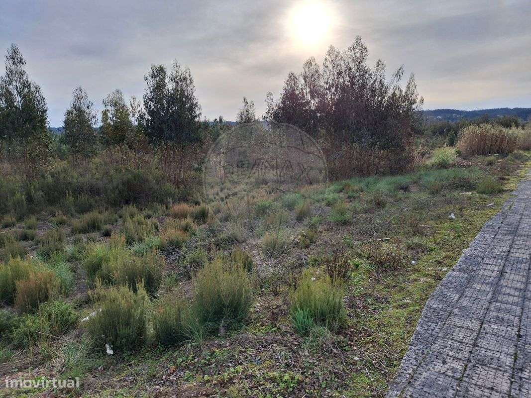 Terreno  para venda - Grande imagem: 3/11