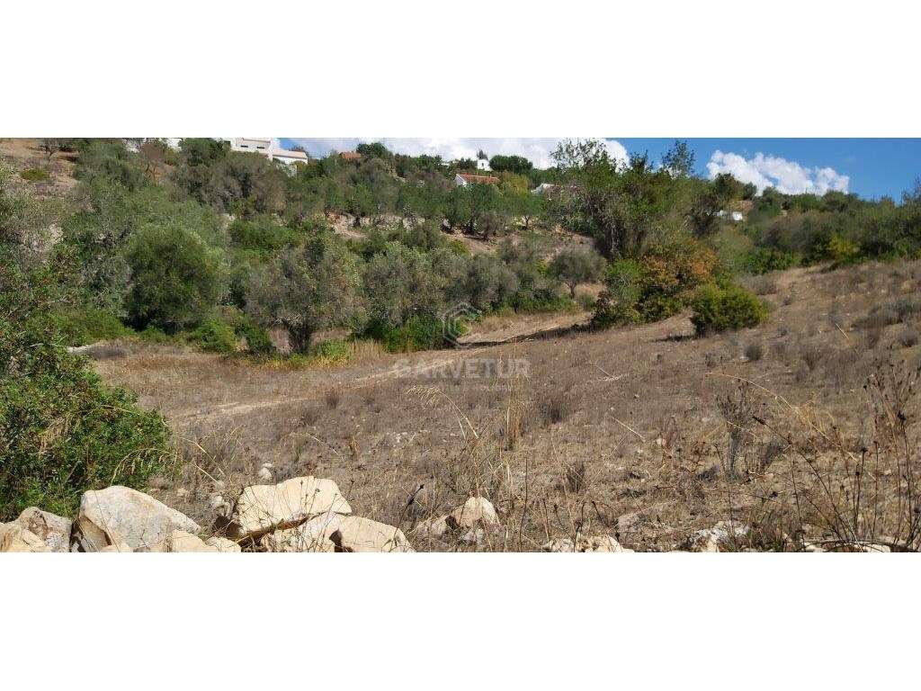 Terreno agrícola, várias culturas, Paderne, Albufeira, Algarve - Grande imagem: 5/15