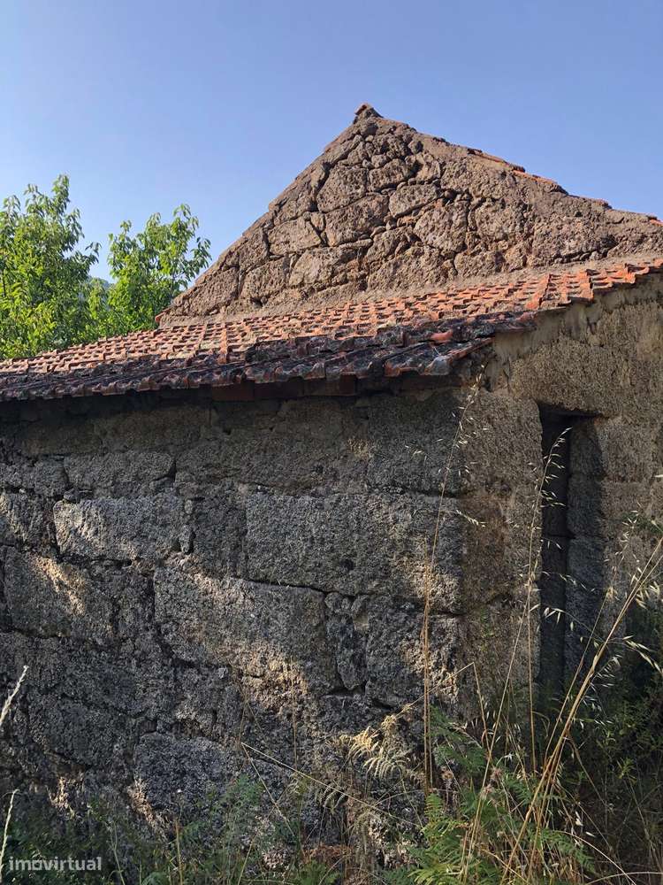 Excelente Quinta na Beira Alta com cerca de 2 Hectares-7