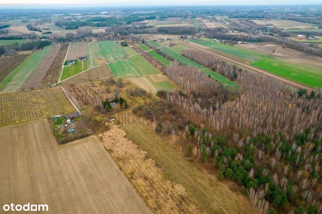 Węzeł Mszczonów/grunt inwestycyjny/lokalizacja-0