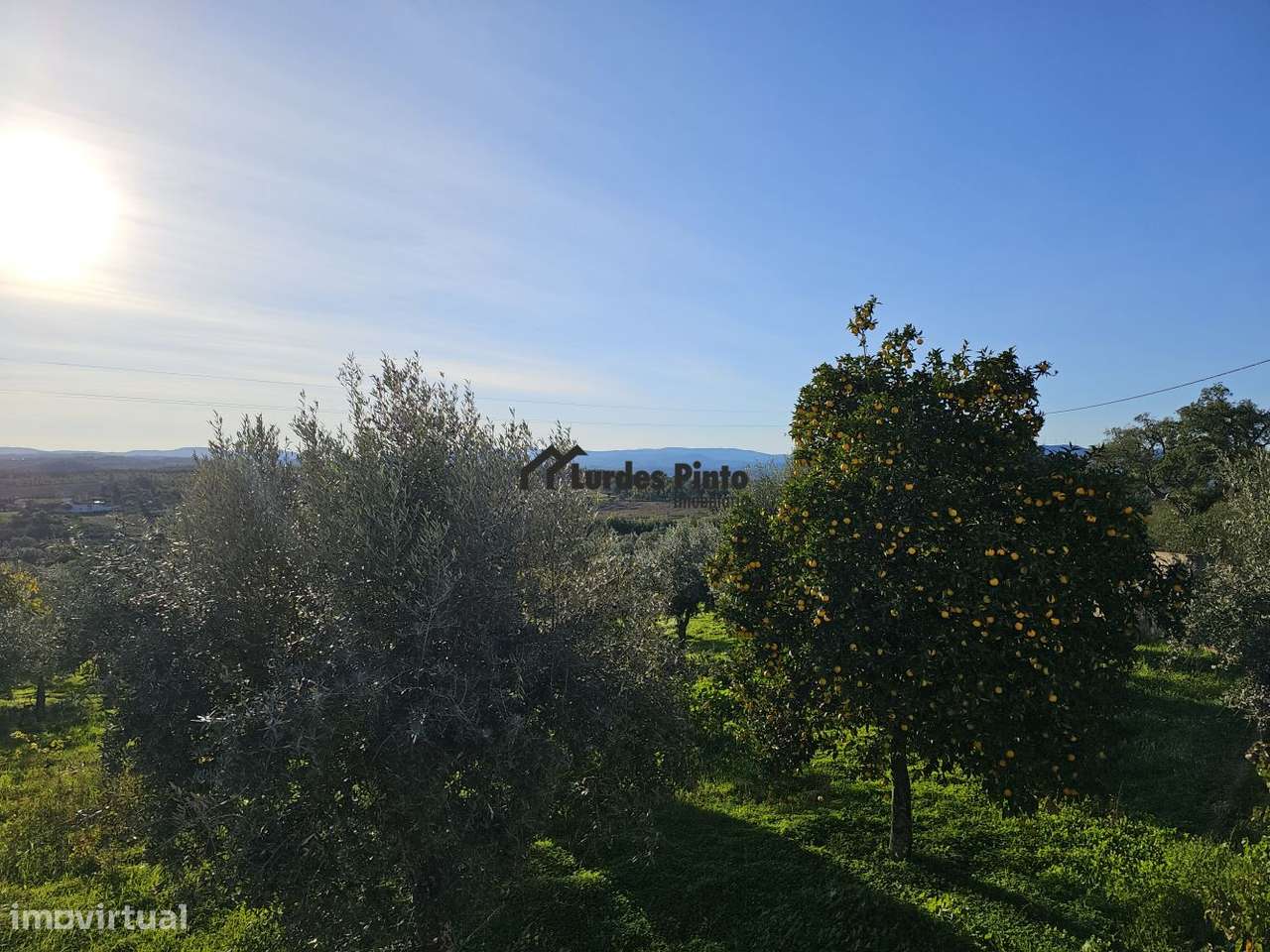 Quinta com construção - Grande imagem: 2/32