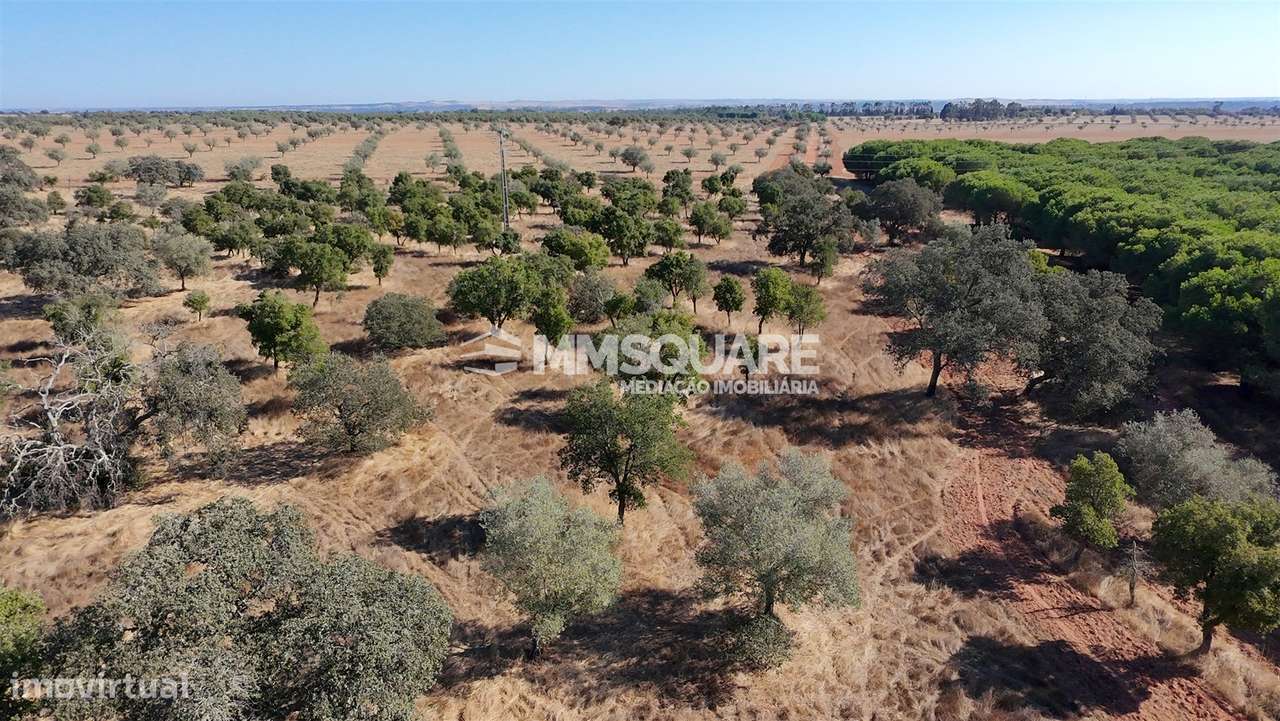 Herdade  Venda em Garvão e Santa Luzia,Ourique-25