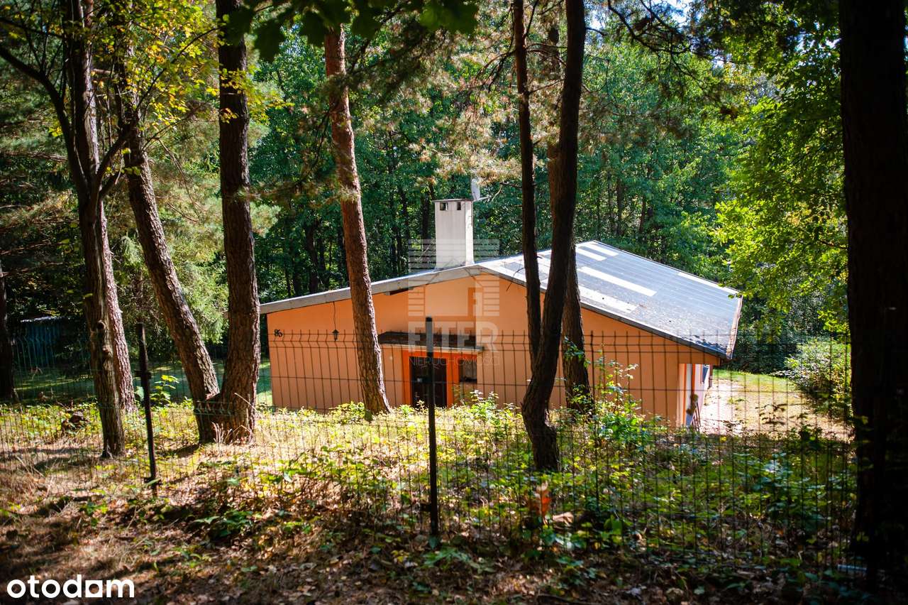 100 m2 dom w lesie...-12