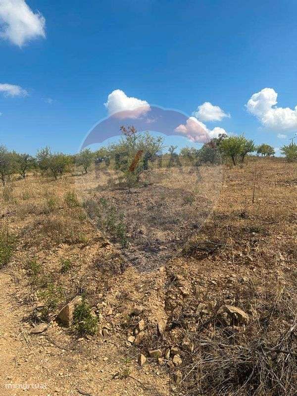 Terreno  para venda - Grande imagem: 2/9