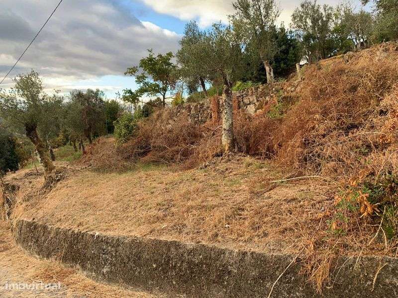 Ruína com terreno + terrenos agrícolas - Grande imagem: 5/5