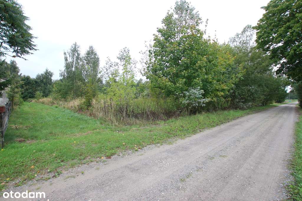 Działka budowlana ok.20 ar Gołąb g. Michów - Pełny obrazek: 5/19