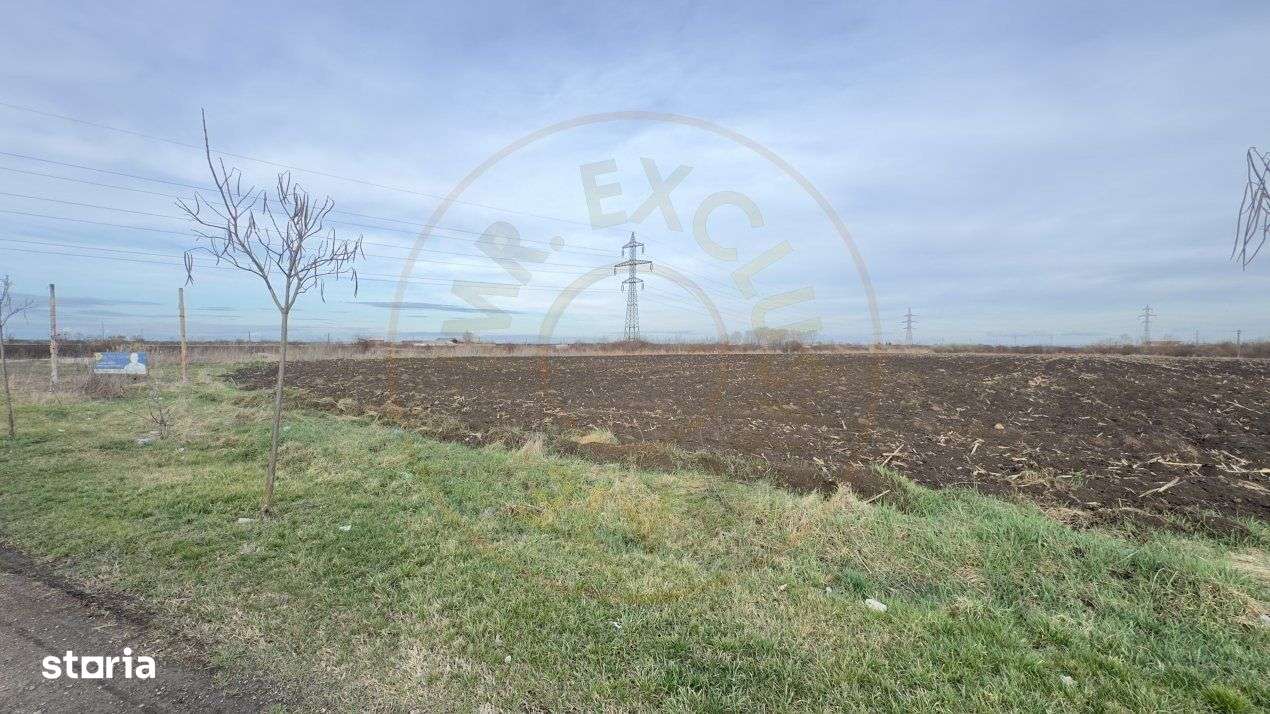 Teren Intravilan Industrial 13.164 mp, Zona Constantin Mille-Carei-Com - Imagine principală: 3/9