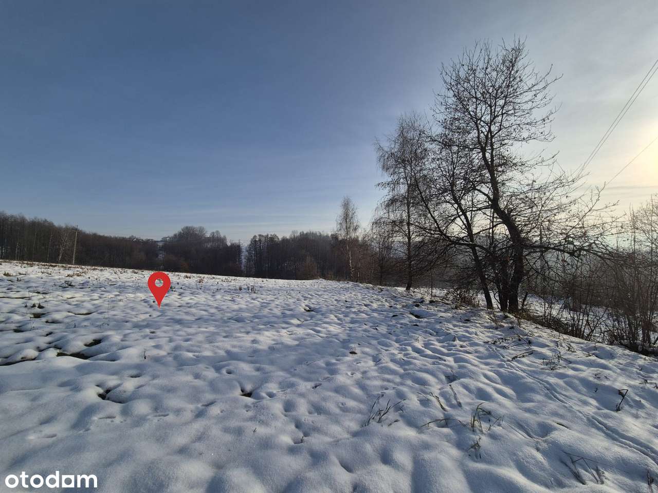 83,8 ar MPZP – dom, agroturystyka, hala do 400 m² | Przytkowice - Pełny obrazek: 5/18