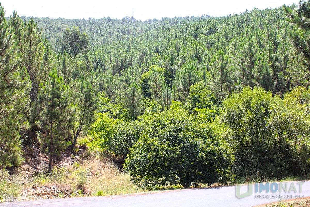 Quinta - Grande imagem: 3/32