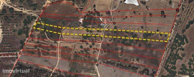 Terreno Rústico com 1,8 ha junto à Barragem de Fonte de Serne-12