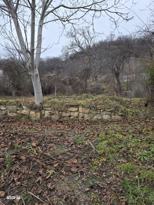 Oportunitate de investitie, PUZ, 2 parcele disponibile - Imagine principală: 2/8