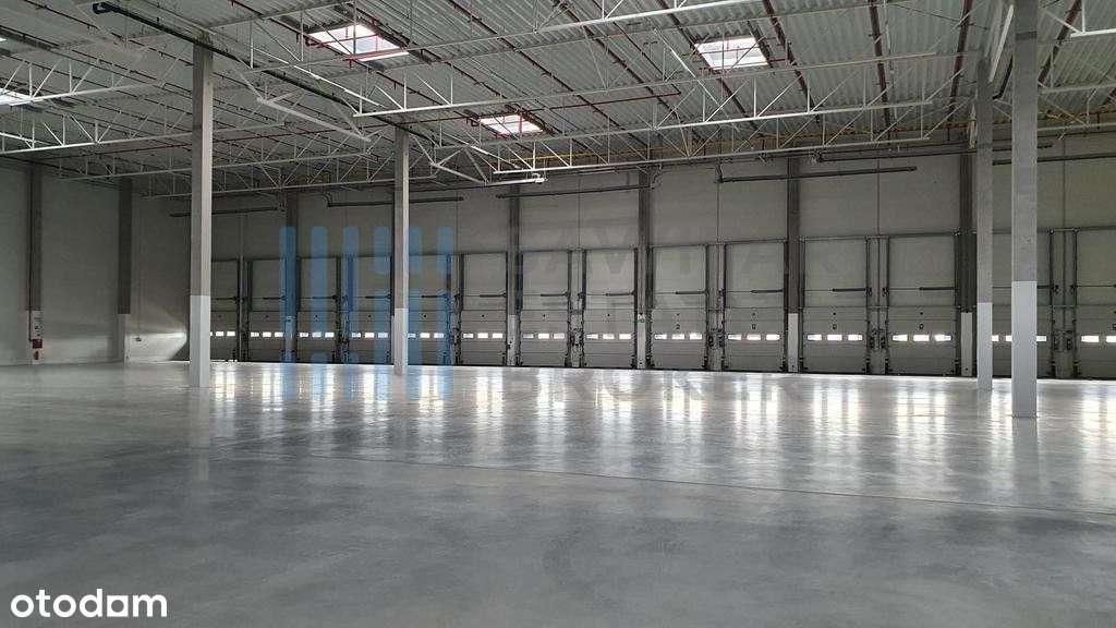 Nowoczesna hala przy A4 12m wysokości - Pełny obrazek: 2/4