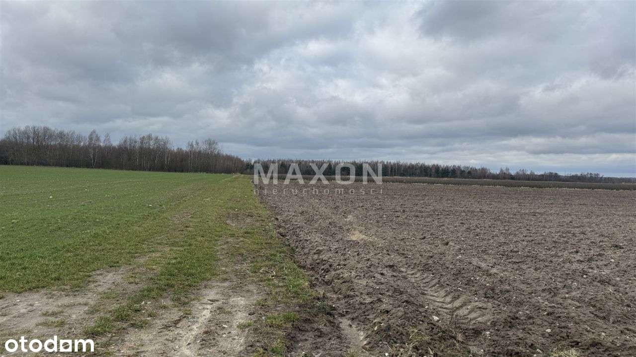 Grunt inwestycyjny - Pełny obrazek: 3/5