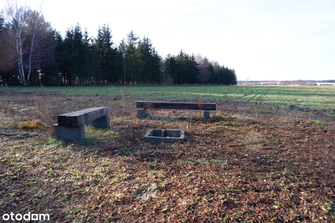 Klimatyczne działki budowlane pod lasem-5