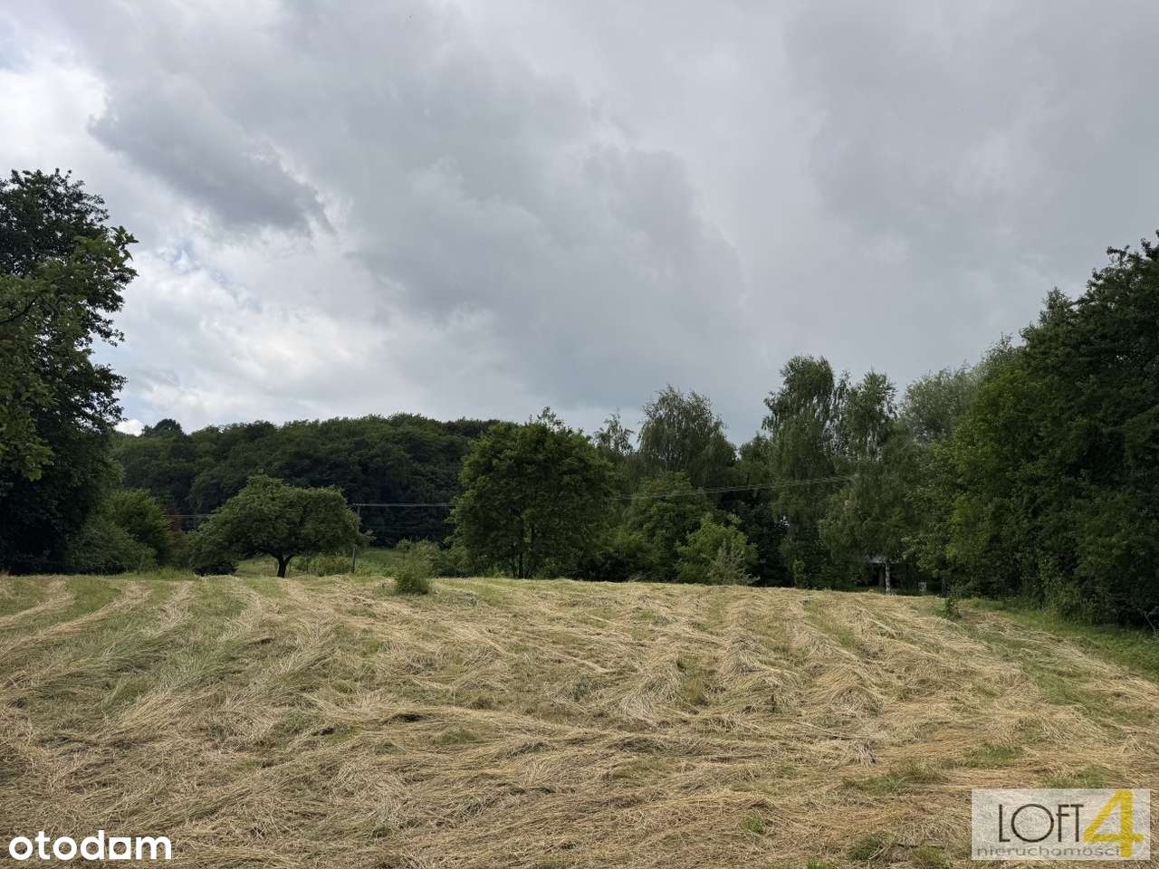 Działka budowlana - Szczepanowice. - Pełny obrazek: 4/15