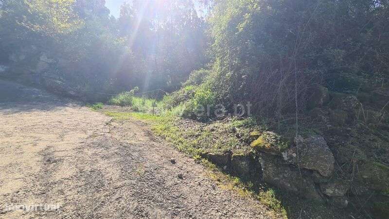 Terreno / Lousada, Sousela - Grande imagem: 5/12
