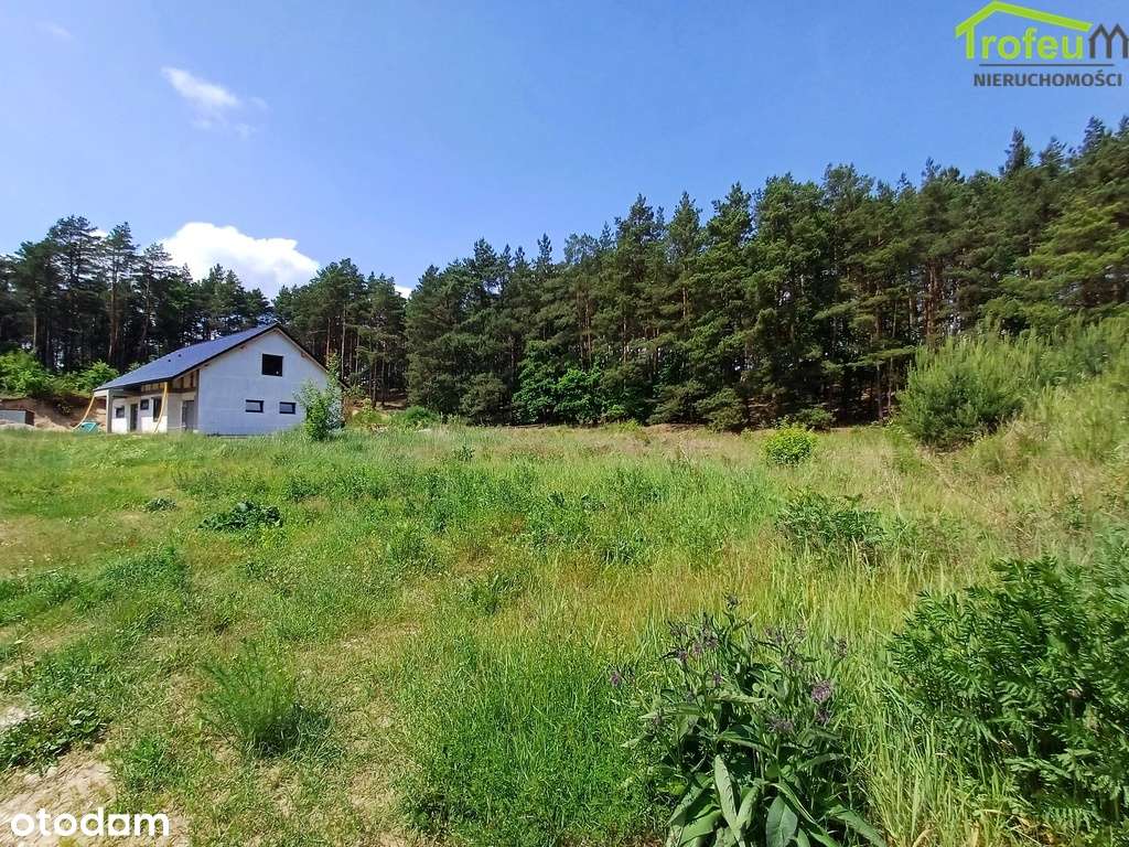 Urokliwa działka wśród lasu! - Pełny obrazek: 4/5