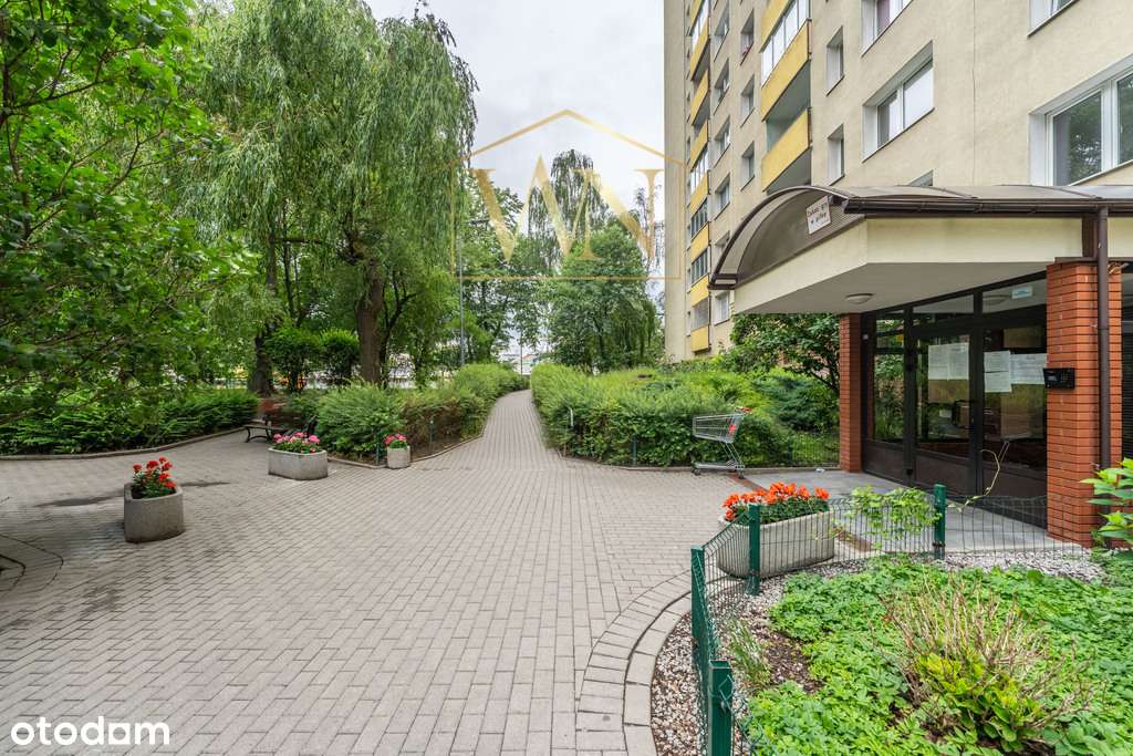 Okazja! Trzy pokoje po remoncie + balkon-17