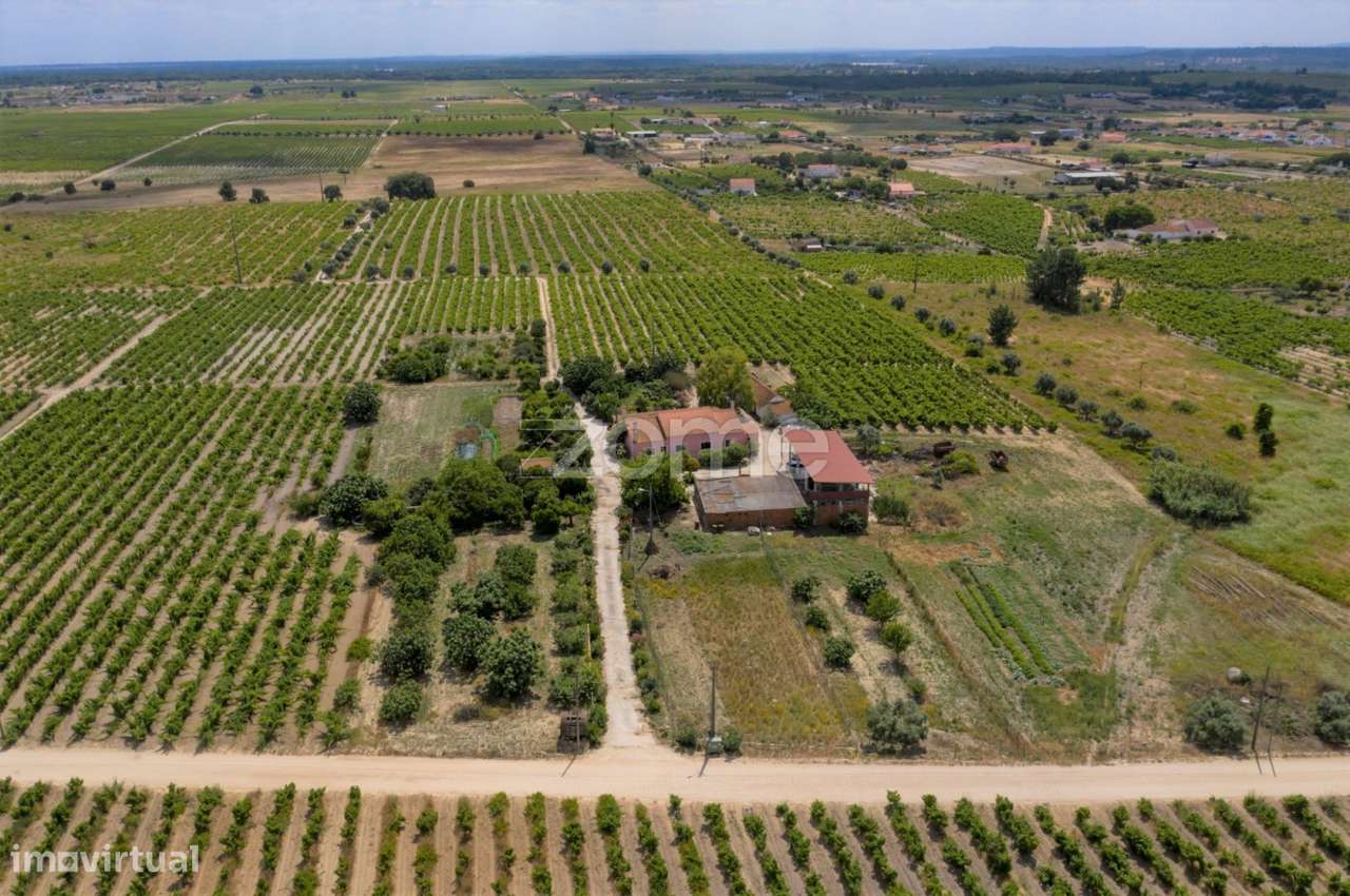 Herdade D. Alda - vinhas prestigiadas e premiadas! - Grande imagem: 5/23