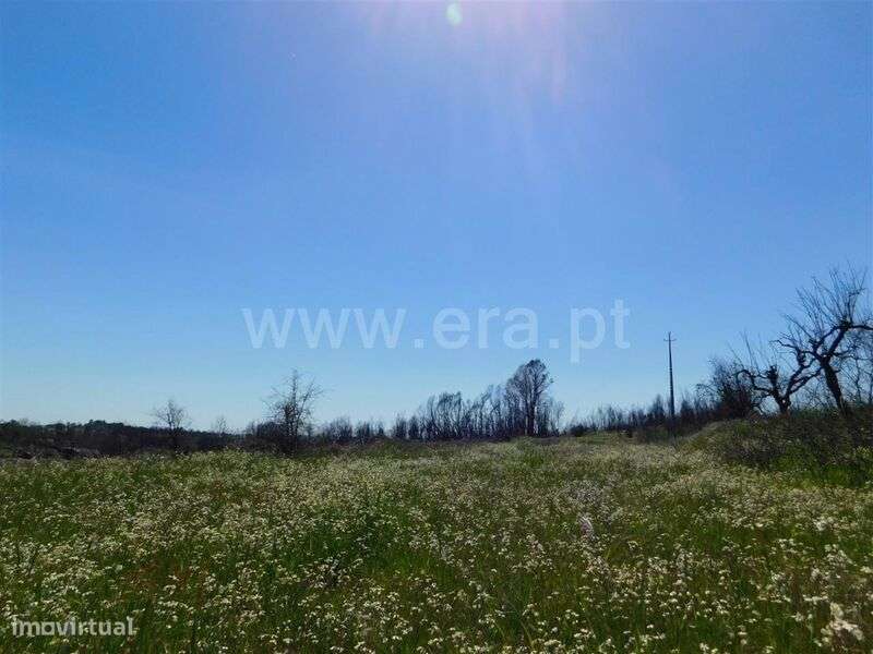 Terreno / Fundão, Soalheira - Grande imagem: 5/6