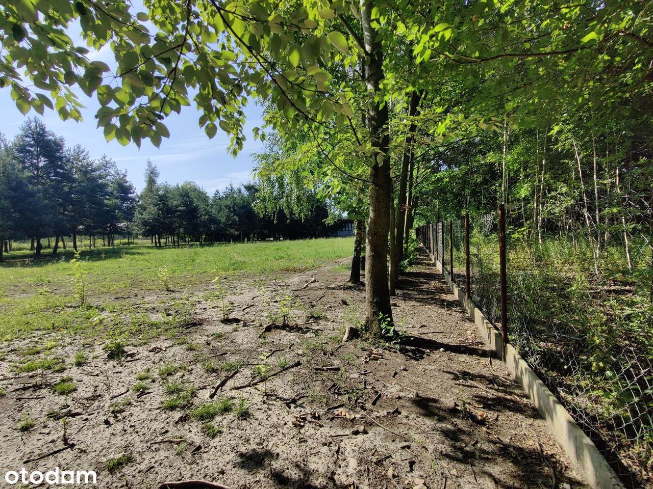 Ogrodzona rolno-budowlana w Janowie-15