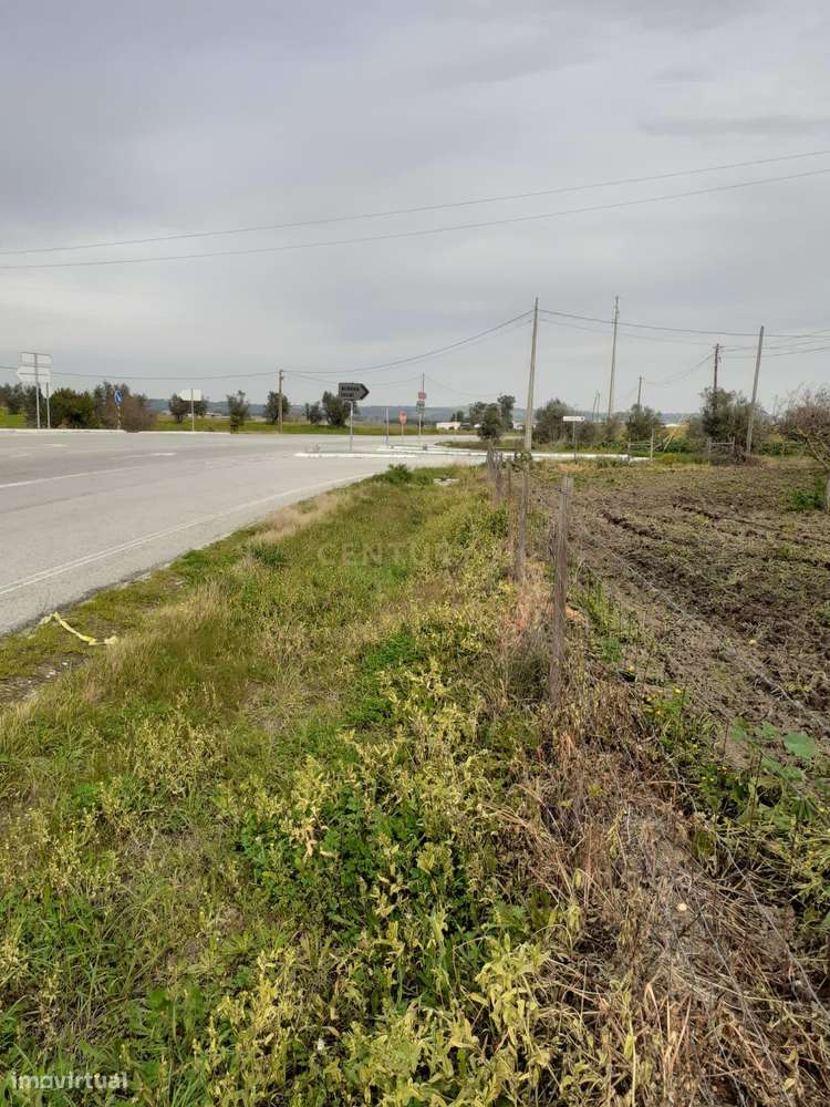 Terreno ás portas de Reguengos de Monsaraz - Grande imagem: 4/29