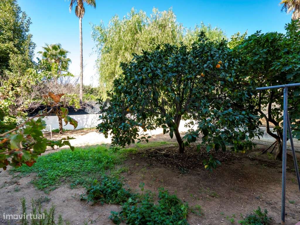 Charmosa Moradia Tradicional em Vale Formoso-30