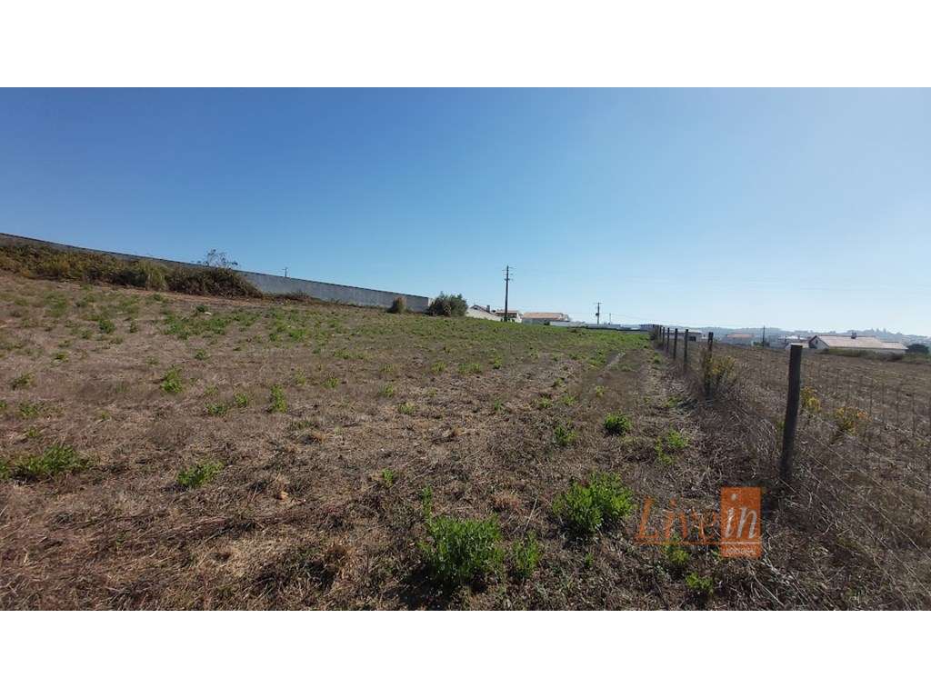 Terreno Urbano no Sobreiro - Grande imagem: 2/12