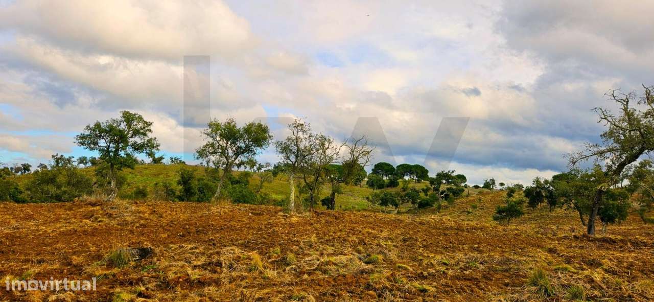 Herdade Exclusiva em Grândola: 35 Hectares, Vistas 360º e Viabilidade - Grande imagem: 4/40