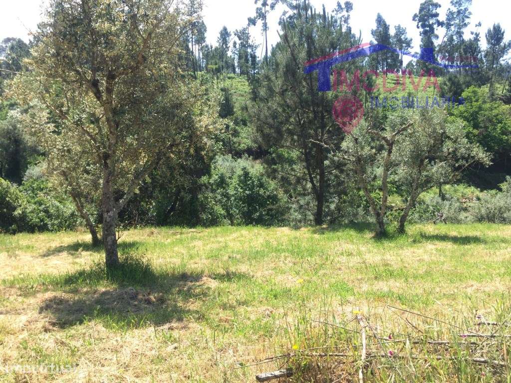 Terreno Rústico com uma área total de 22800m2. - Grande imagem: 5/13