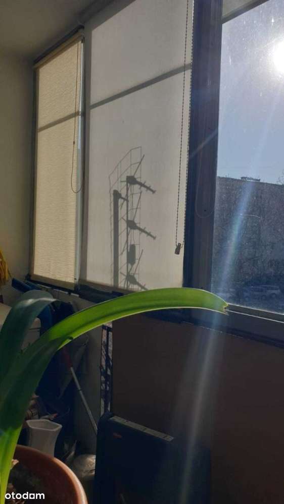 Mieszkanie na Osadniczej-9