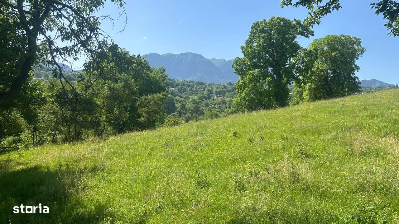 Teren Sohodol Vedere catre M-tii Bucegi - Imagine principală: 2/7