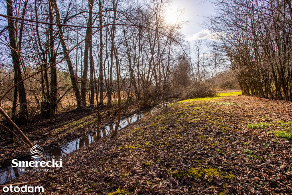 Dom w otulinie Parku Krajobrazowego-8