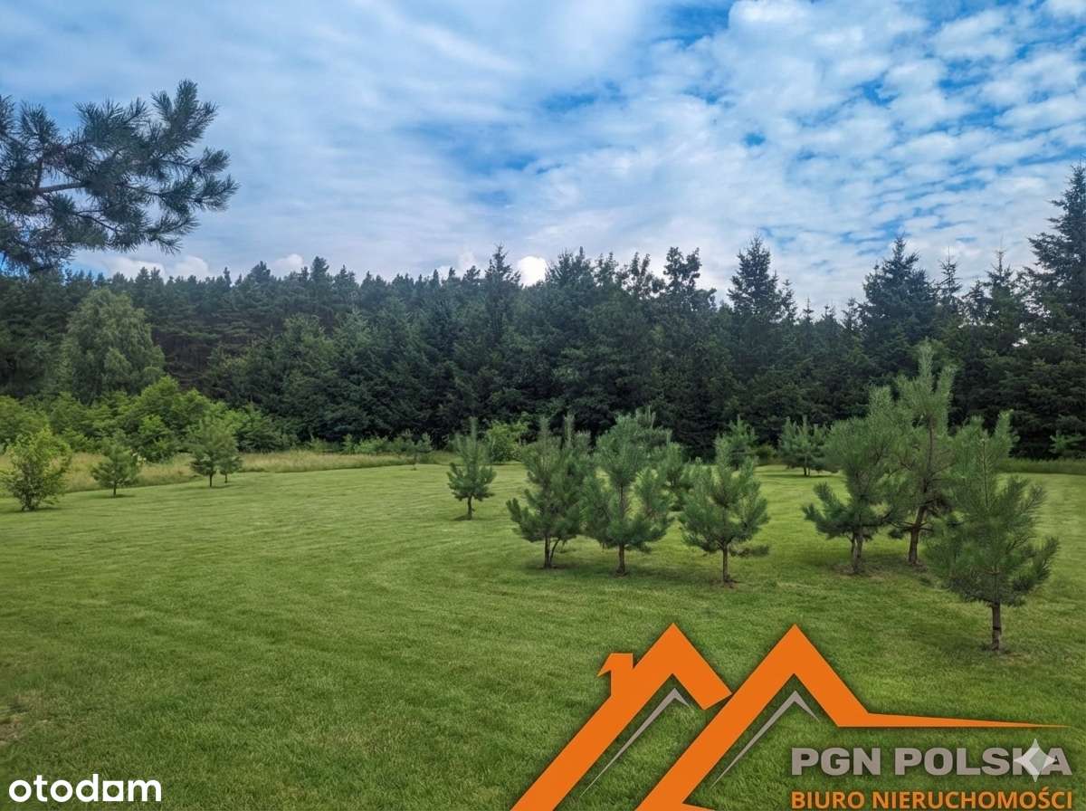 Twój dom pod lasem | Kiszewo | Blisko rzeki Warty | Duża działka-3