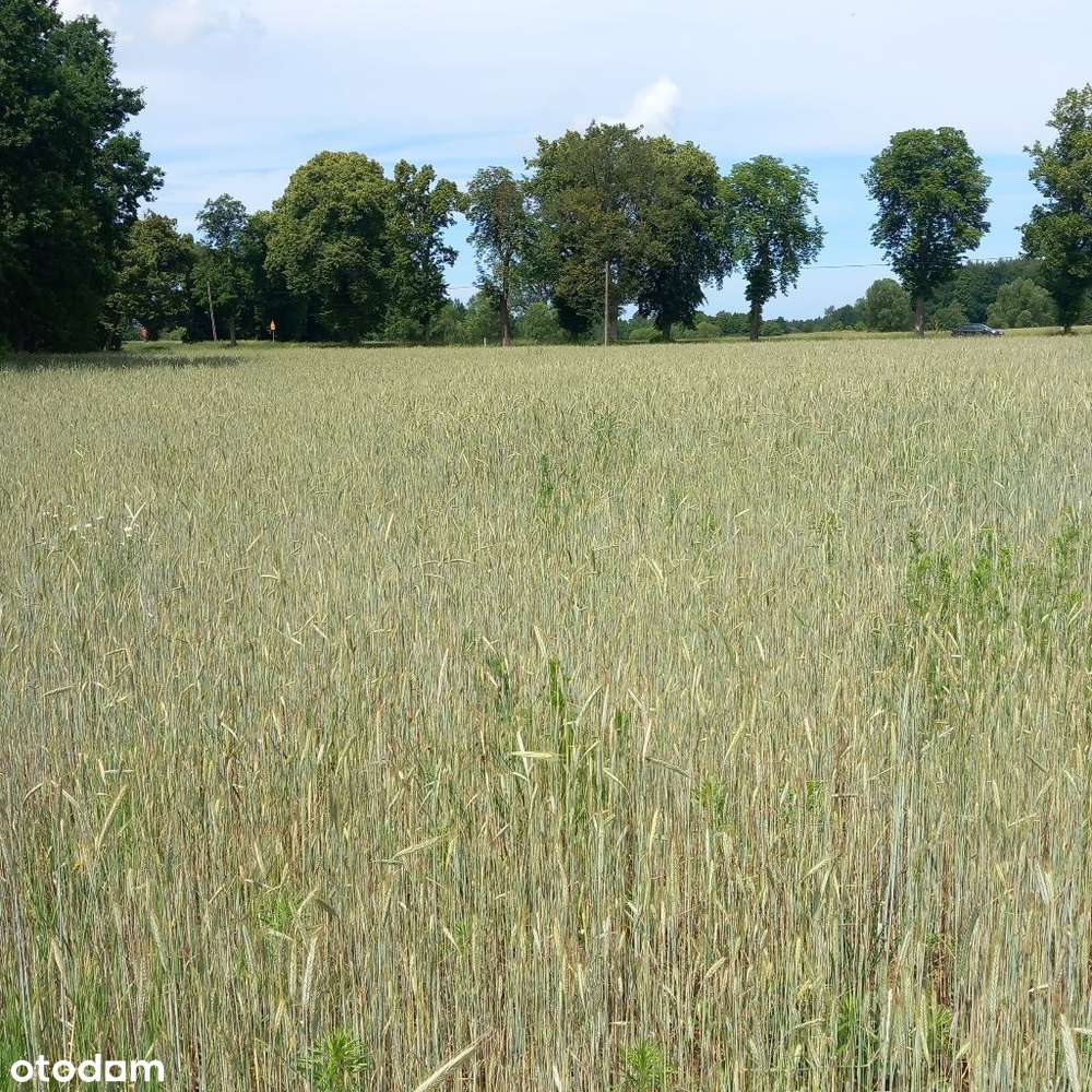 Działki 4km od miasta z kompl. mediów i utw. drogą-8