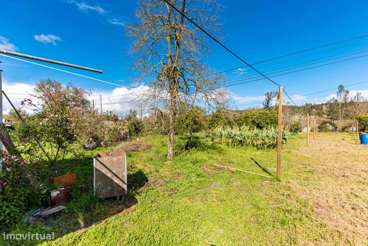 MORADIA T1 + ANEXOS E TERRENO | BEMPOSTA | ABRANTES-20