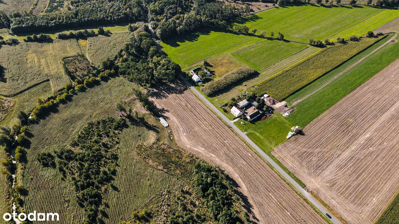 Nowy Folwark, gm. Września, pow. wrzesiński, woj. wielkopolskie-3