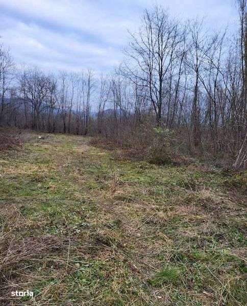 Teren intravilan 2.200 mp Unguriu/Buzau - Imagine principală: 4/7