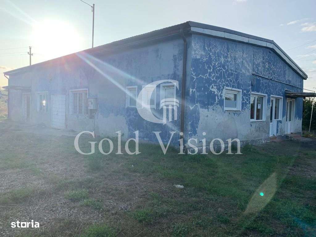 Spațiu comercial, Șăulia De Câmpie - Imagine principală: 1/4