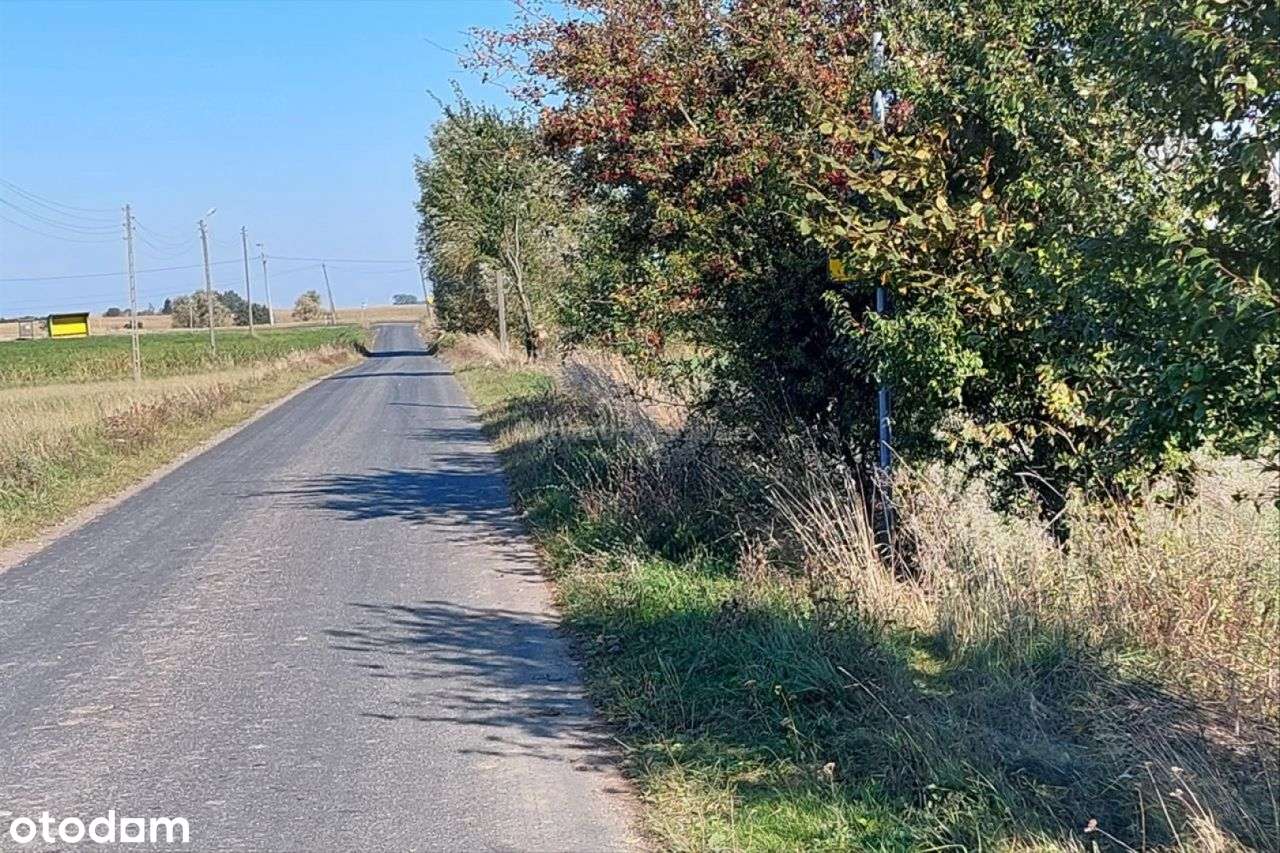 Nieruchomość w pobliżu Motoareny w Toruniu. - Pełny obrazek: 2/4