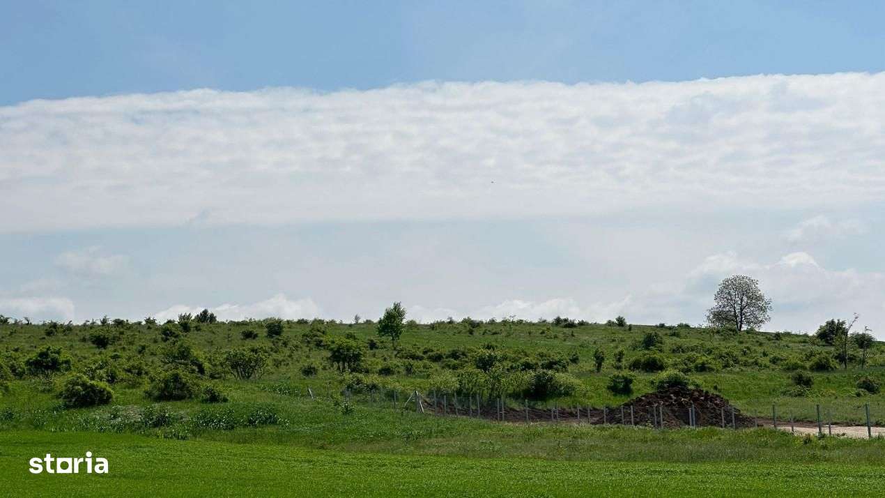 Gaminvest - Teren Extravilan de Vanzare, zona Episcopia, Oradea V3160B - Imagine principală: 4/4