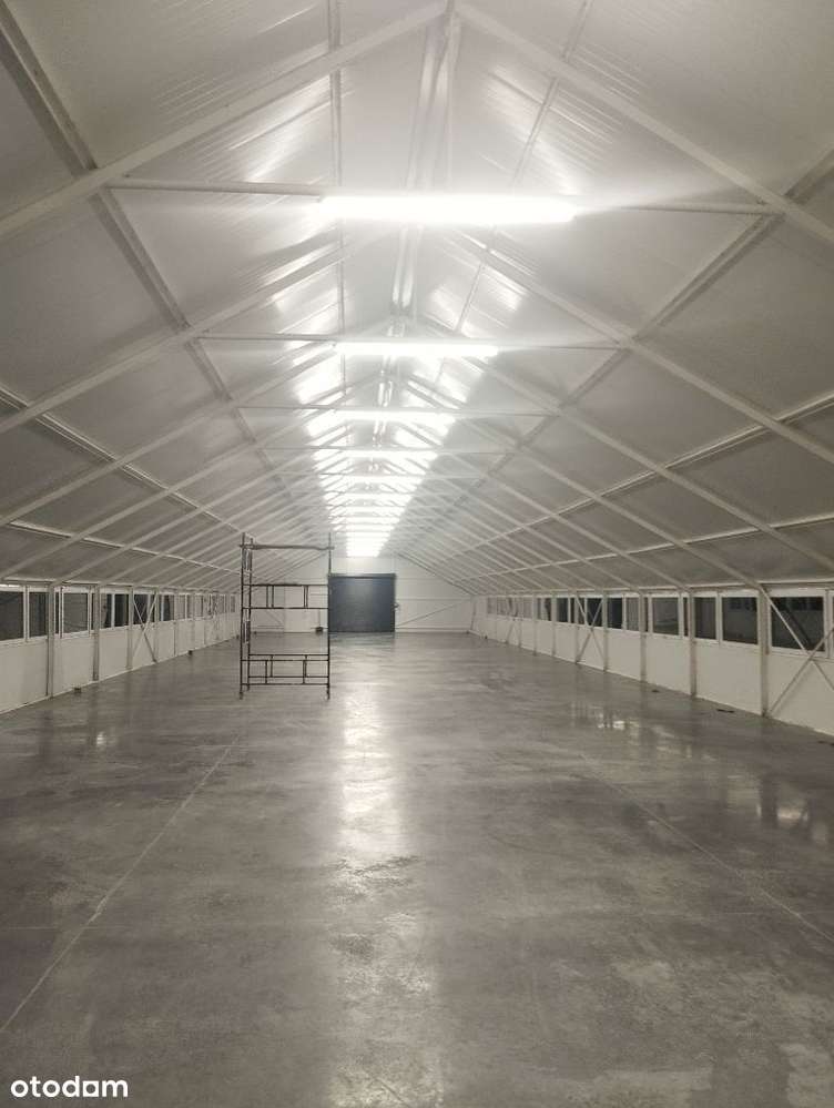 Magazyn hala do wynajęcia na dowolną działalność - Pełny obrazek: 4/6