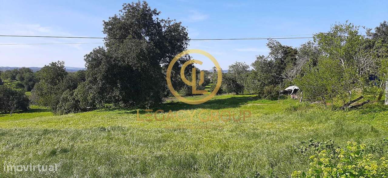 Terreno Rústico – Sítio dos Alhos, Conceição de Tavira-8
