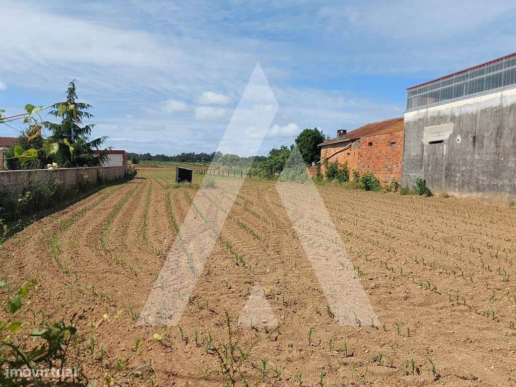 Terreno para Venda em Soutelo - Grande imagem: 5/17